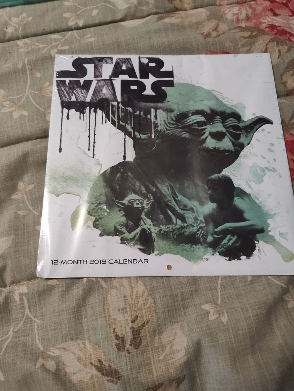Star Wars Wall Calendar – Yoda Artwork in Green and Black 2018